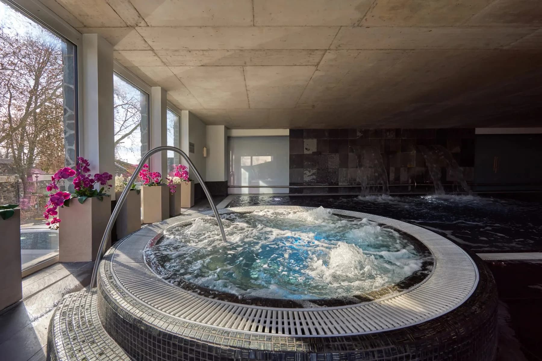 Wellness